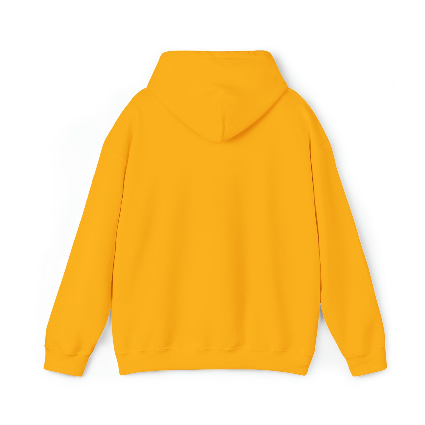SNR Hoodie
