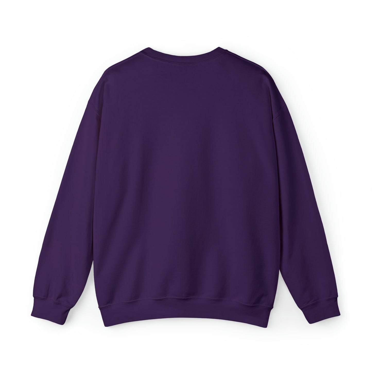 SNR Crewneck Sweatshirt