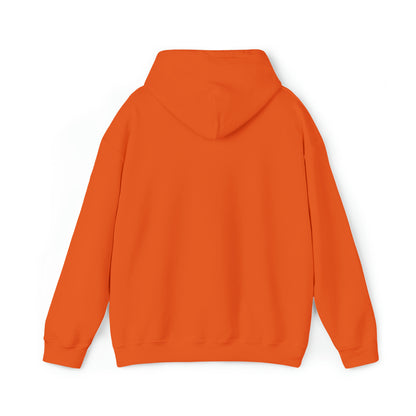 SNR Hoodie
