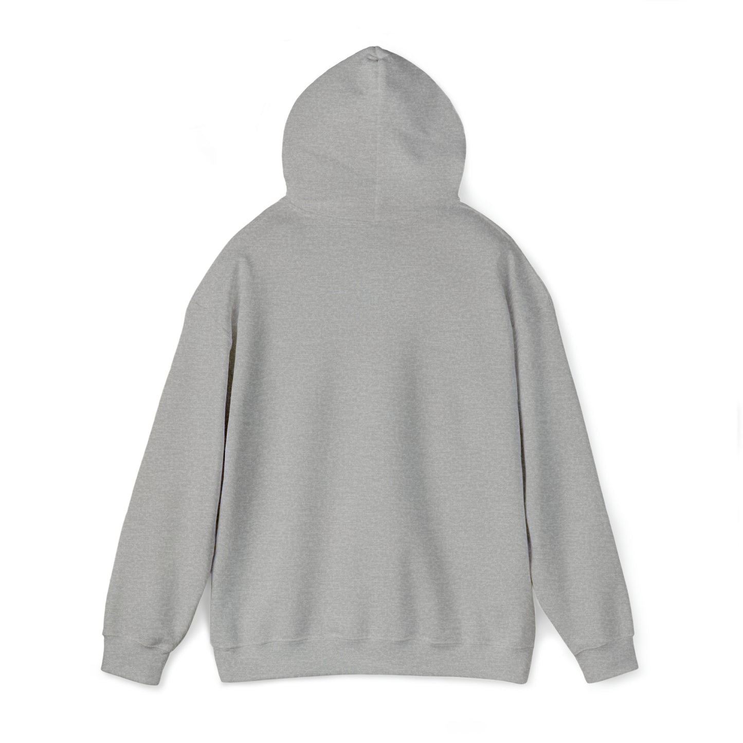 SNR Hoodie
