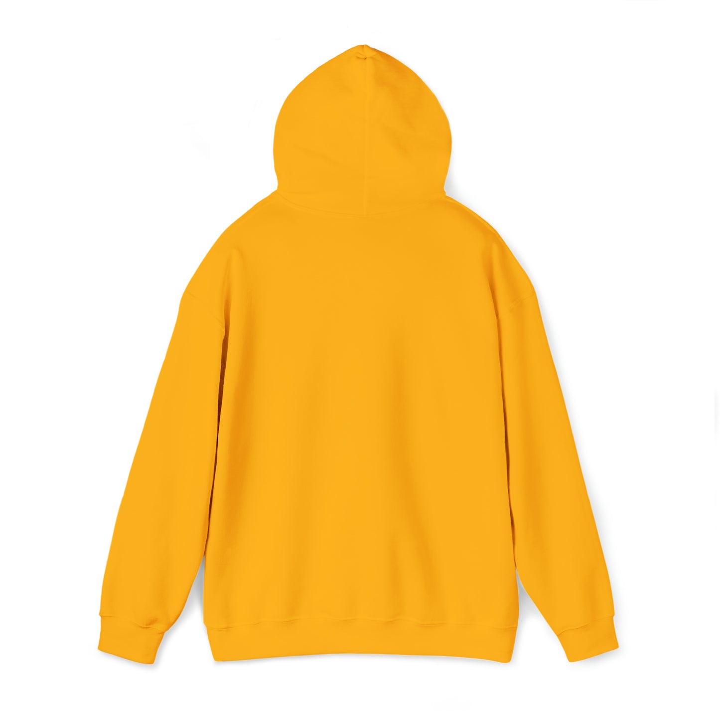 SNR Hoodie