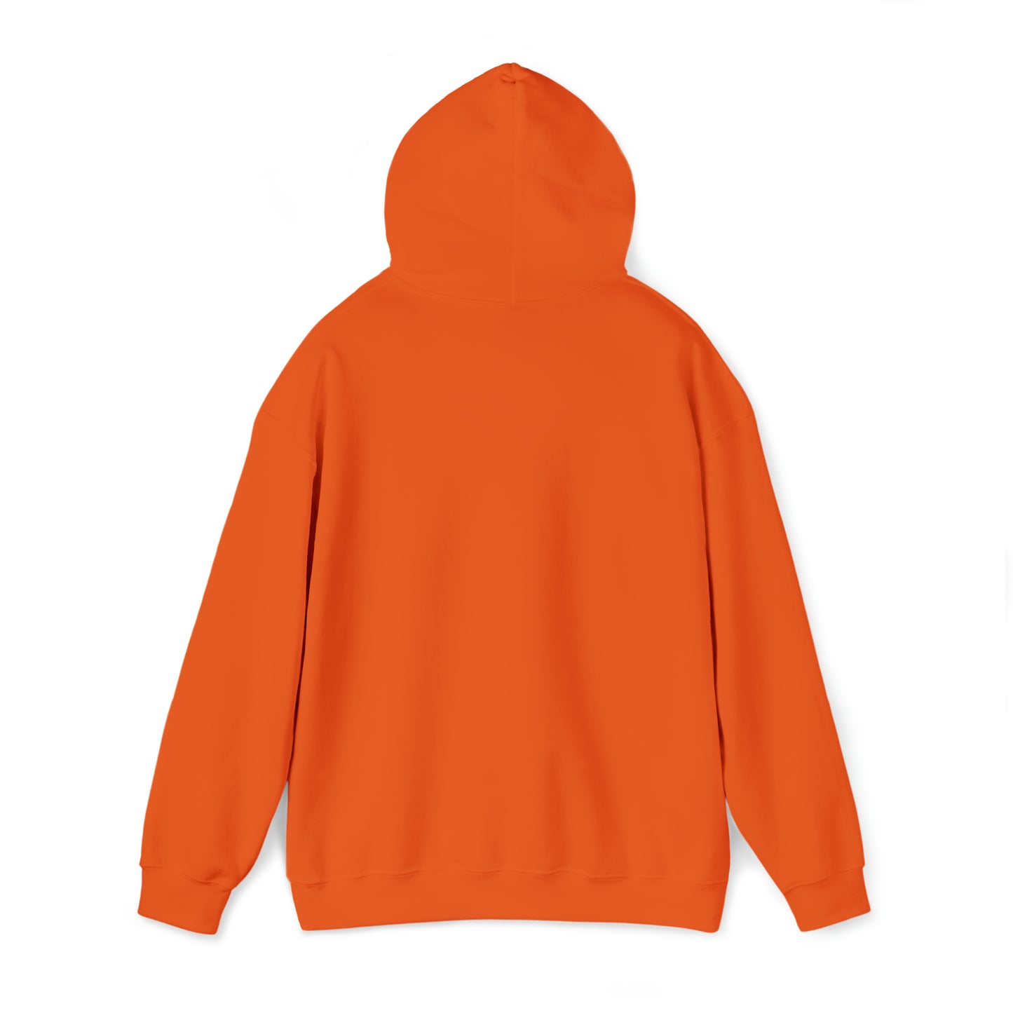 SNR Hoodie