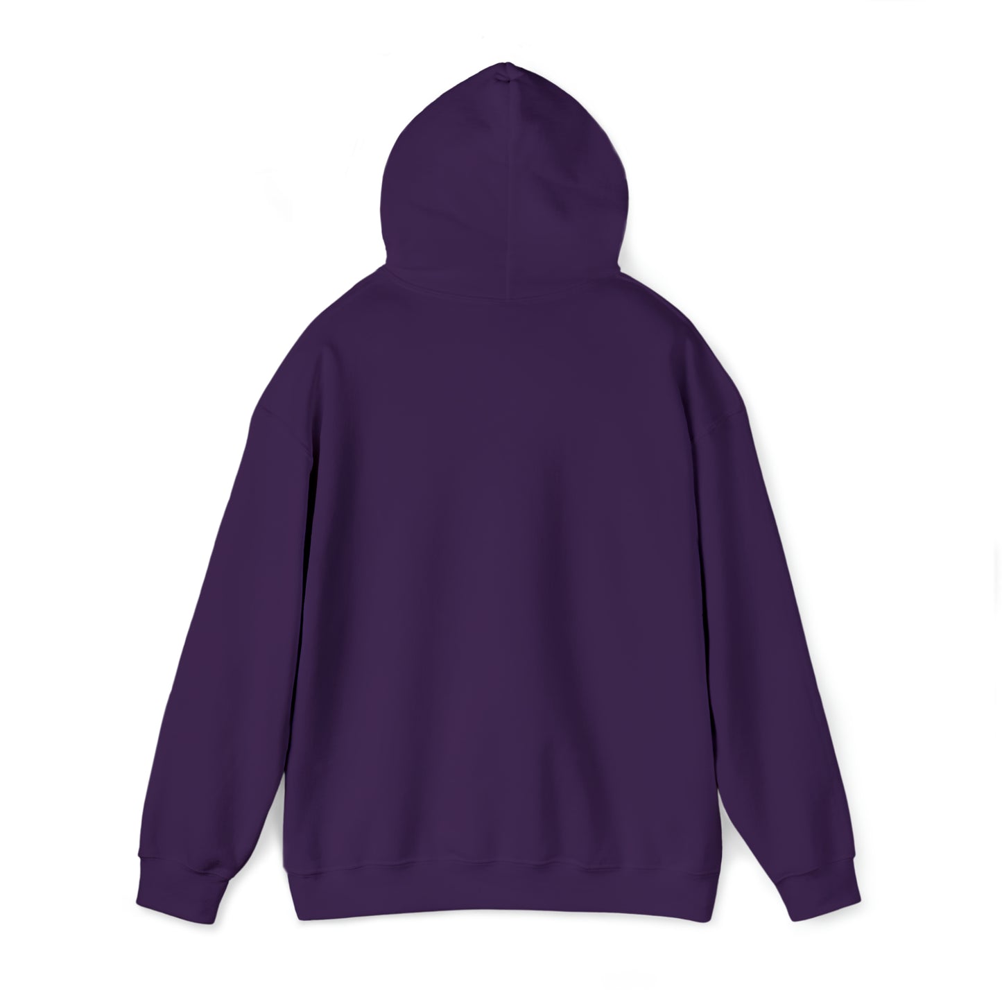 SNR Hoodie